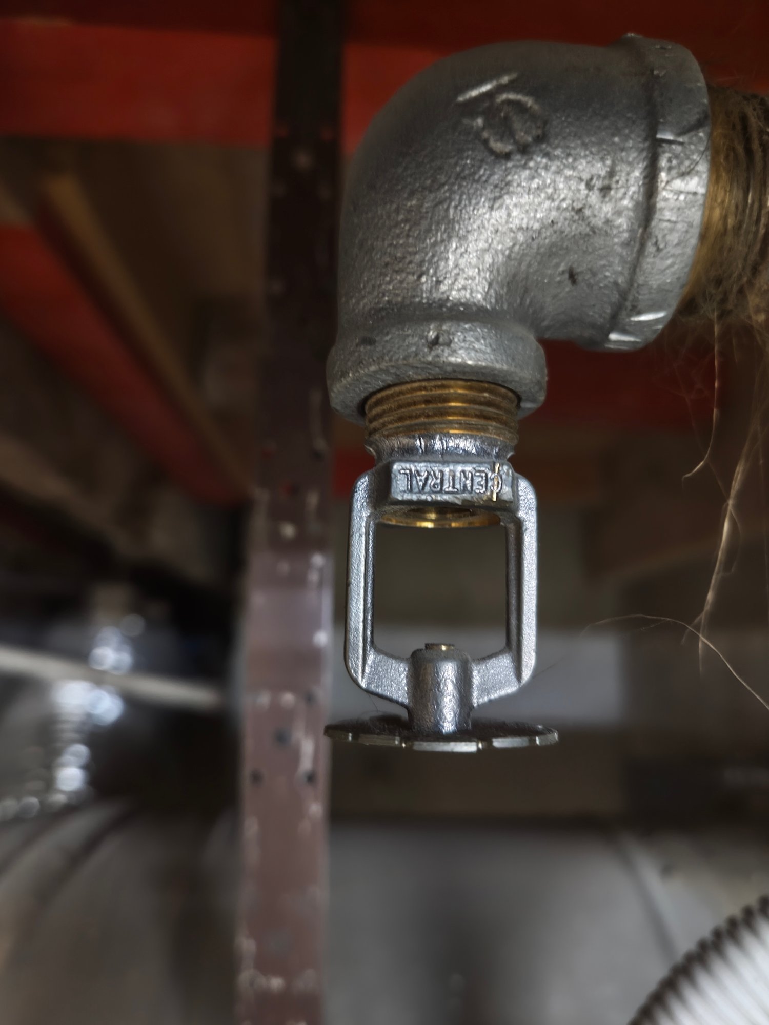 IMG_20260204_154847429 IMG_20260204_154847429